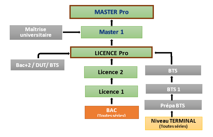 Parcours LMD